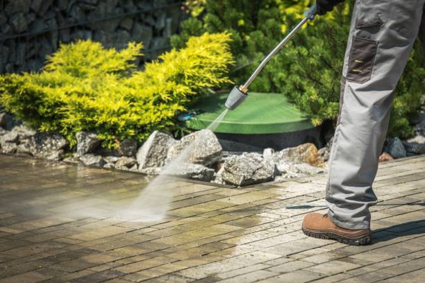 Best Playground Equipment Cleaning  in Gold Beach, OR